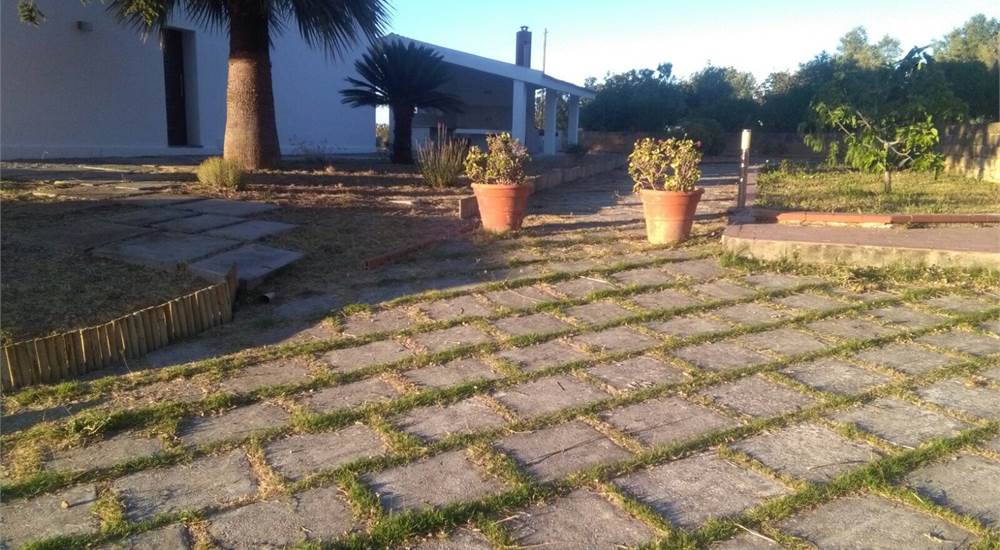 Photo 41