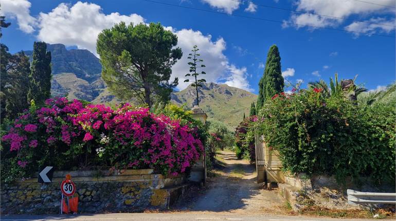 Baugrundzu Verkauf in Termini Imerese (PA) Contrada Calcasacco snc
